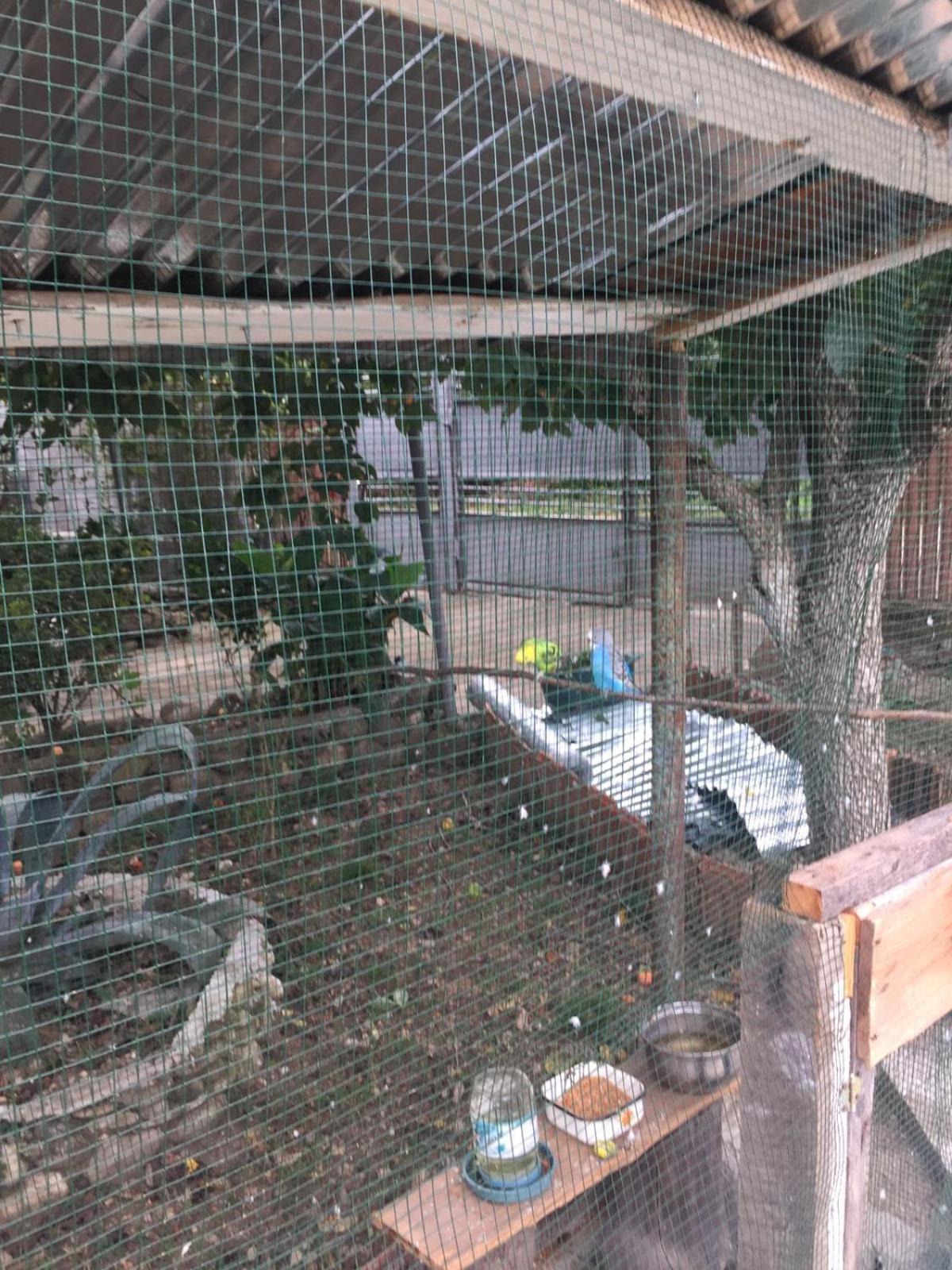 Mera Hostel Partskhanaqanevi ภายนอก รูปภาพ
